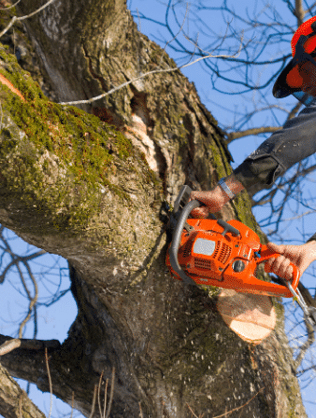 Man using an orange chainsaw to cut tree branches