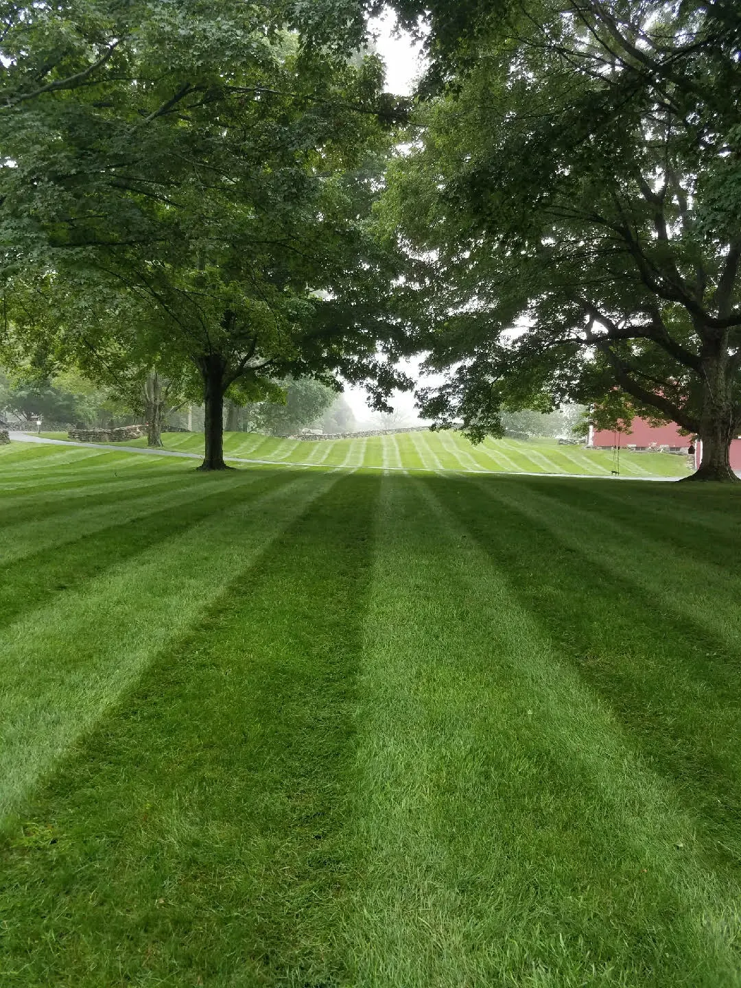 Lawn Cutting and Stripping in NJ