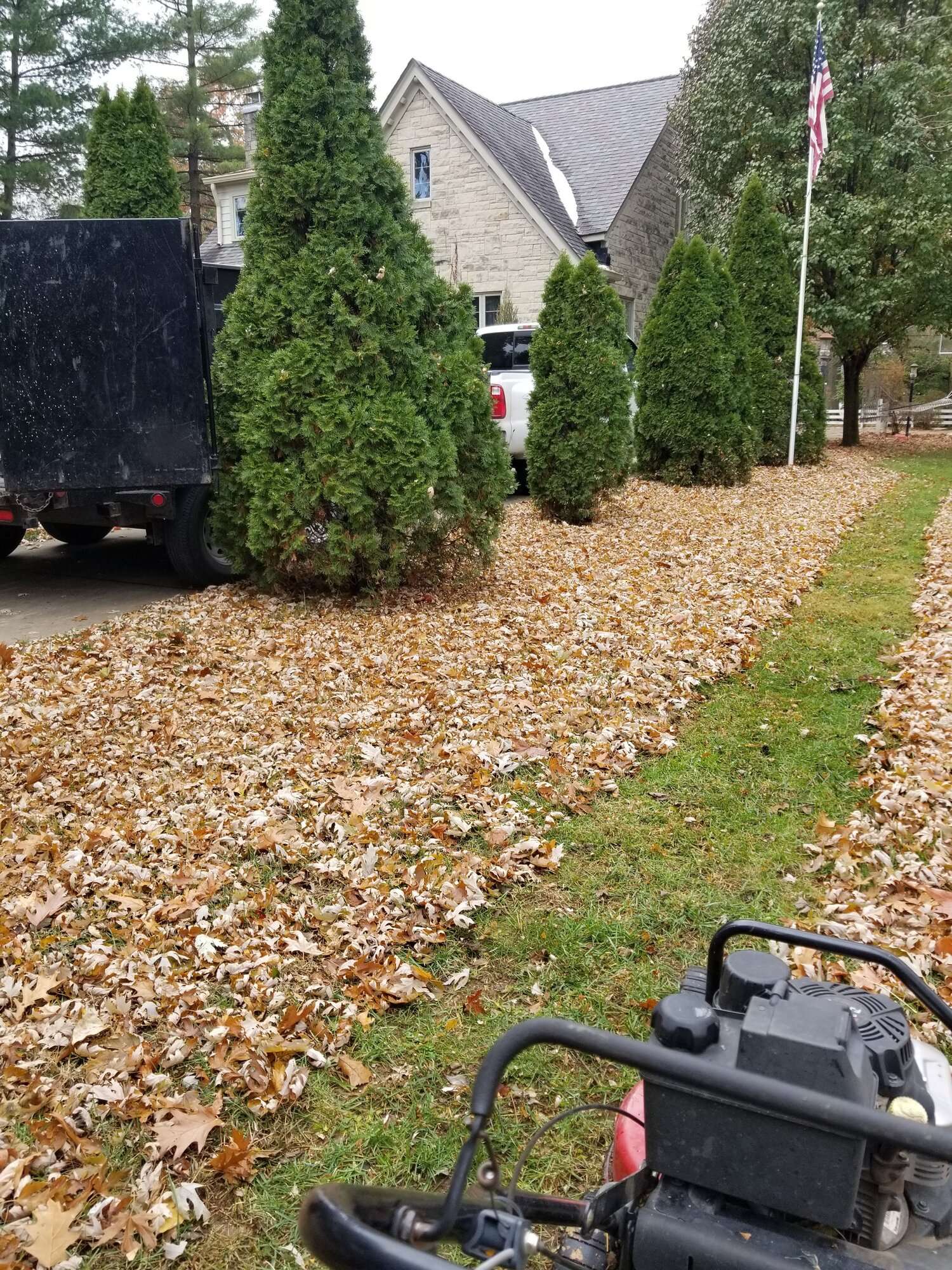 Leaf Cleanup in New Jersey